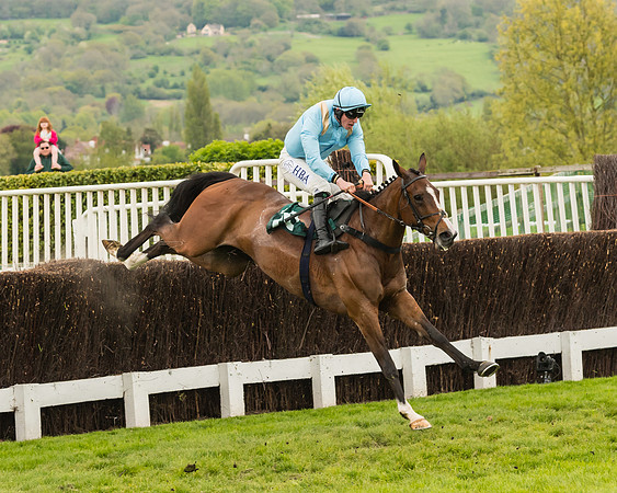 Cheltenham Hunter Chase Evening