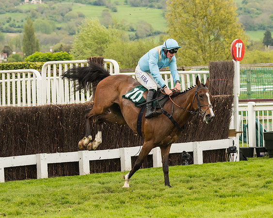 Cheltenham Hunter Chase Evening