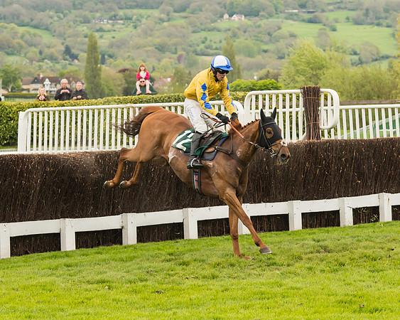 Cheltenham Hunter Chase Evening