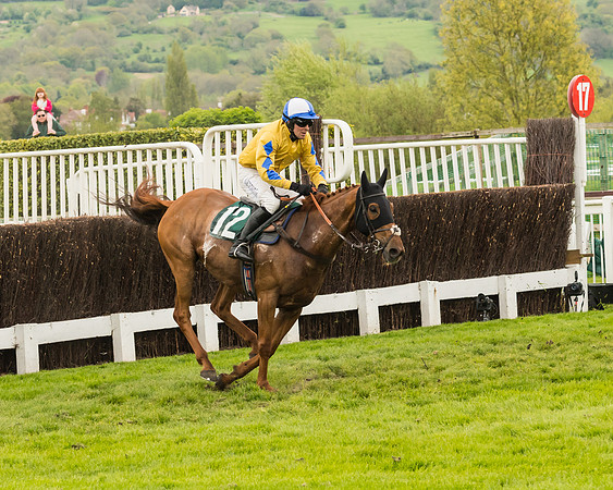 Cheltenham Hunter Chase Evening