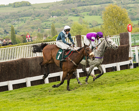 Cheltenham Hunter Chase Evening