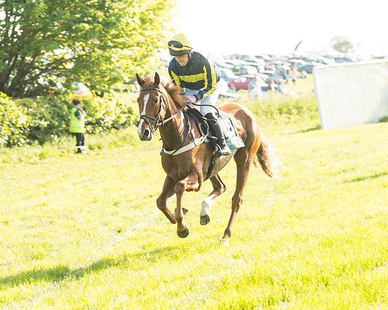 South Mids Area Open Maiden
