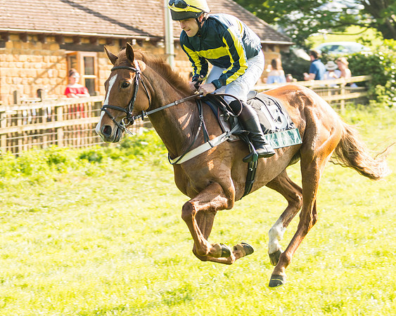 South Mids Area Open Maiden