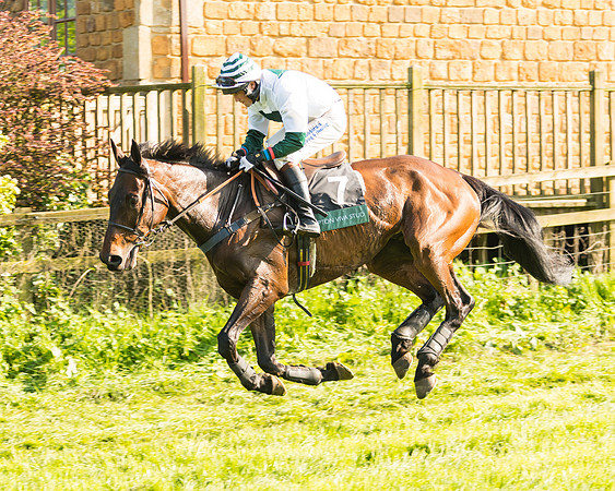 South Mids Area Open Maiden
