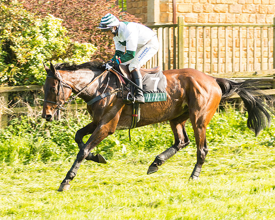 South Mids Area Open Maiden