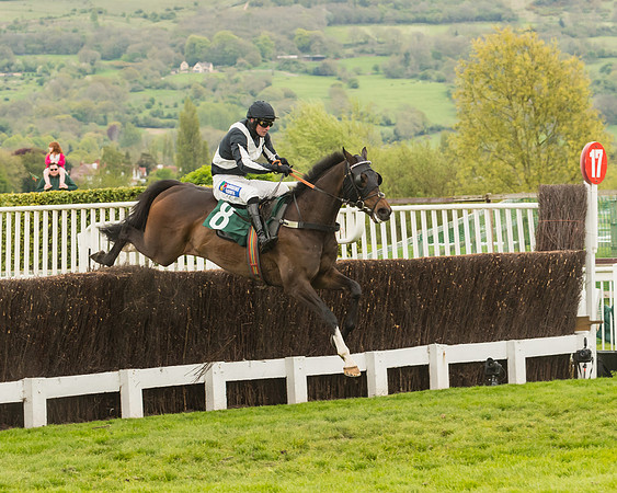 Cheltenham Hunter Chase Evening