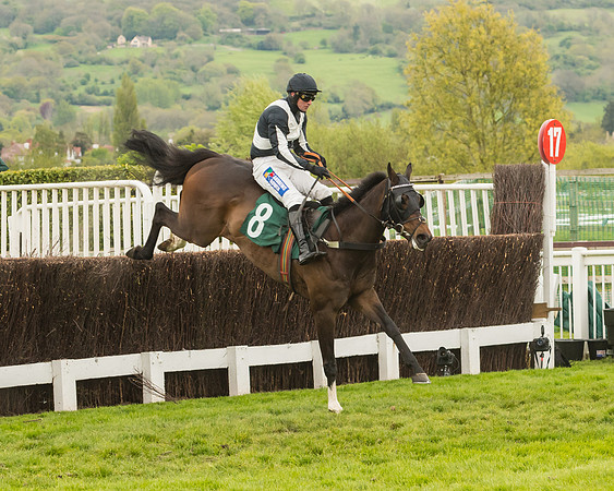 Cheltenham Hunter Chase Evening