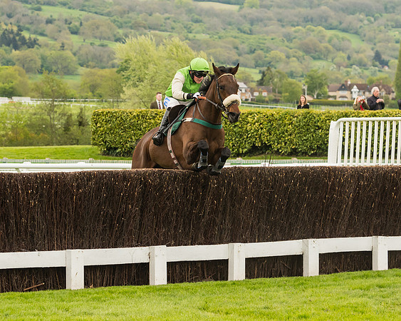 Cheltenham Hunter Chase Evening