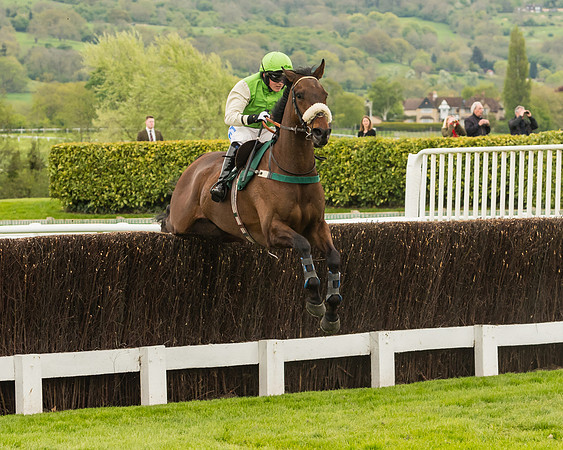 Cheltenham Hunter Chase Evening