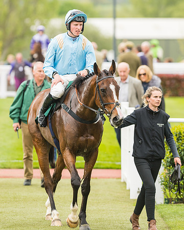 Cheltenham Hunter Chase Evening