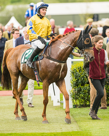 Cheltenham Hunter Chase Evening