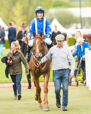 Monsieur Gibraltar - Lorcan Williams