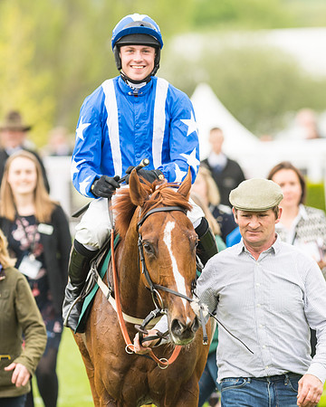Monsieur Gibraltar - Lorcan Williams