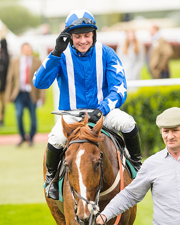 Monsieur Gibraltar - Lorcan Williams