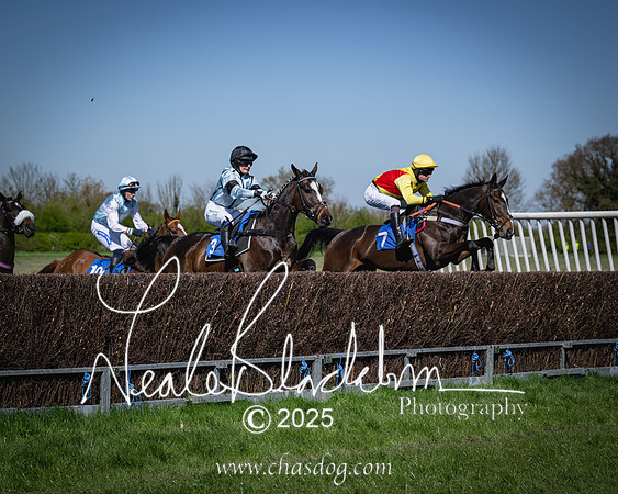 Race 2 - The Maiden (50 of 118)