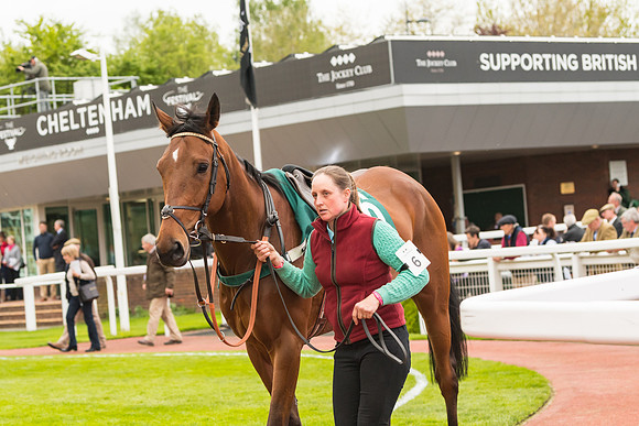 Race 3 - HSBS HC 3m1f 56y