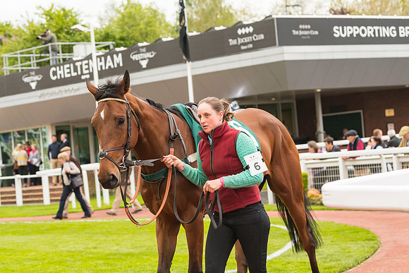 Race 3 - HSBS HC 3m1f 56y