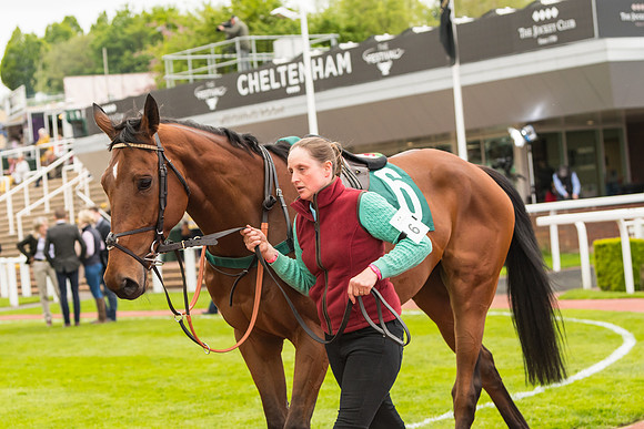 Race 3 - HSBS HC 3m1f 56y