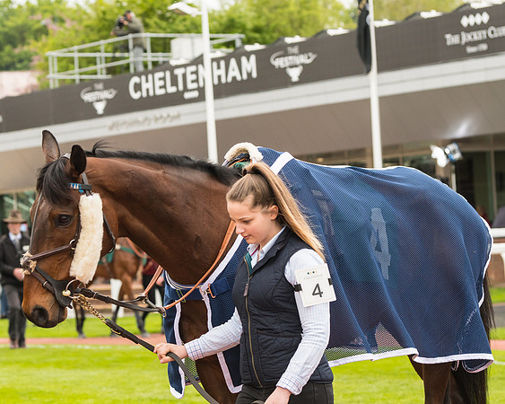 Race 3 - HSBS HC 3m1f 56y