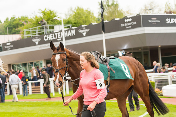 Race 3 - HSBS HC 3m1f 56y