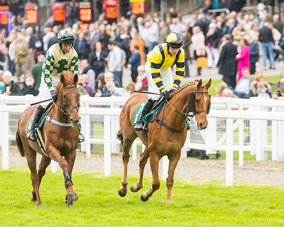 Race 3 - HSBS HC 3m1f 56y