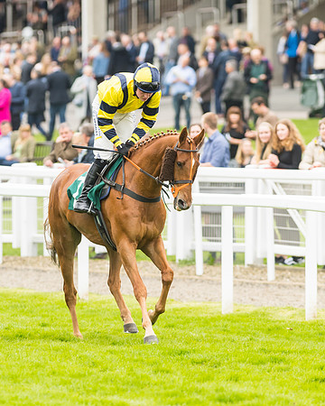 Race 3 - HSBS HC 3m1f 56y