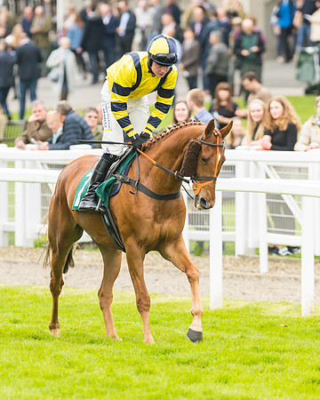 Race 3 - HSBS HC 3m1f 56y