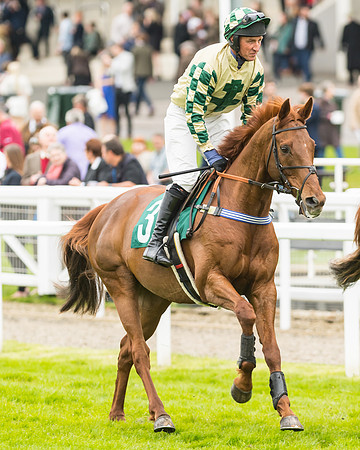 Race 3 - HSBS HC 3m1f 56y