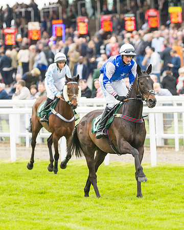 Race 3 - HSBS HC 3m1f 56y