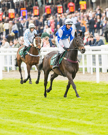 Race 3 - HSBS HC 3m1f 56y