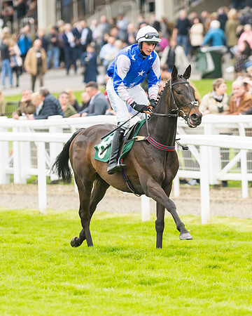 Race 3 - HSBS HC 3m1f 56y