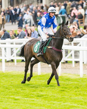 Race 3 - HSBS HC 3m1f 56y