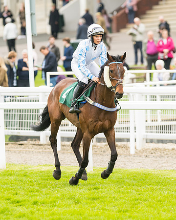 Race 3 - HSBS HC 3m1f 56y