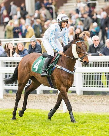 Race 3 - HSBS HC 3m1f 56y