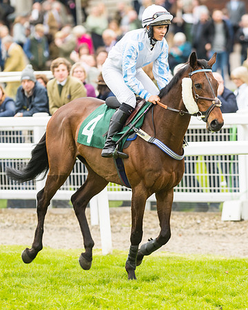 Race 3 - HSBS HC 3m1f 56y
