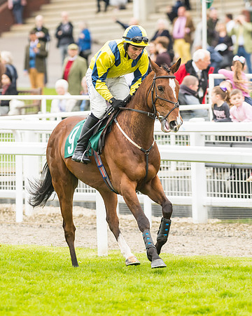 Race 3 - HSBS HC 3m1f 56y