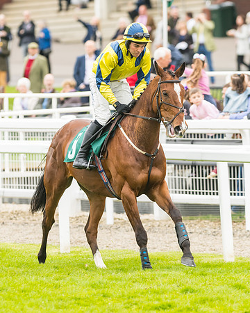 Race 3 - HSBS HC 3m1f 56y