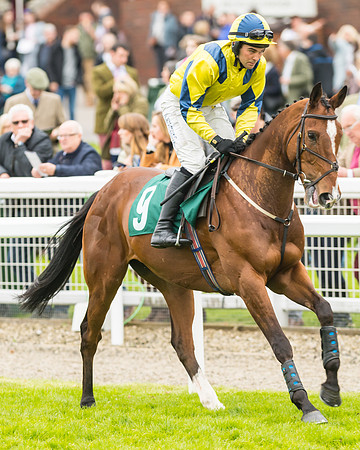 Race 3 - HSBS HC 3m1f 56y