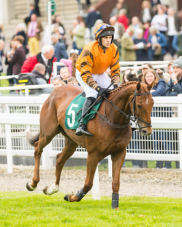 Race 3 - HSBS HC 3m1f 56y