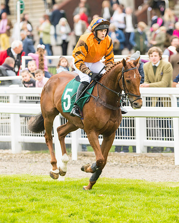 Race 3 - HSBS HC 3m1f 56y