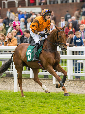 Race 3 - HSBS HC 3m1f 56y