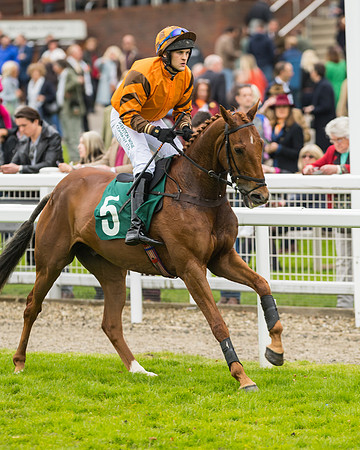 Race 3 - HSBS HC 3m1f 56y