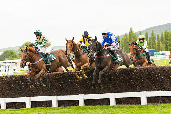 Race 3 - HSBS HC 3m1f 56y