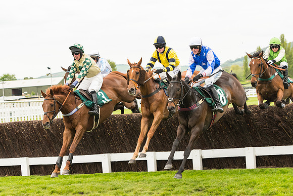 Race 3 - HSBS HC 3m1f 56y