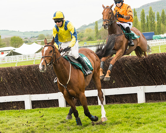 Race 3 - HSBS HC 3m1f 56y