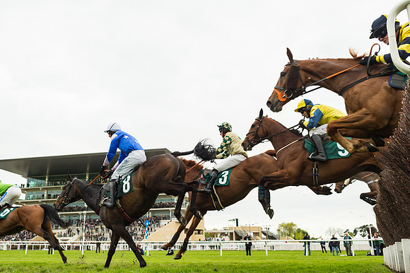 Race 3 - HSBS HC 3m1f 56y