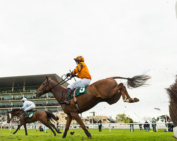 Race 3 - HSBS HC 3m1f 56y