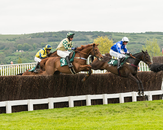 Race 3 - HSBS HC 3m1f 56y