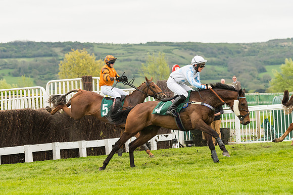 Race 3 - HSBS HC 3m1f 56y
