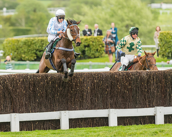 Race 3 - HSBS HC 3m1f 56y